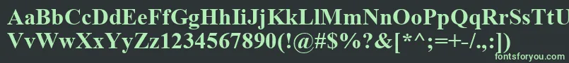 フォントTimesbd0 – 黒い背景に緑の文字