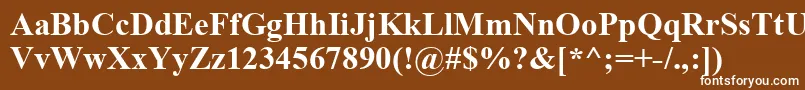 フォントTimesbd0 – 茶色の背景に白い文字