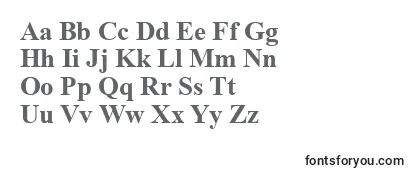 Review of the Timesbd0 Font