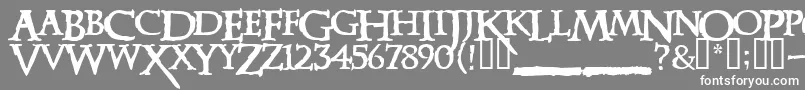 フォントXena – 灰色の背景に白い文字