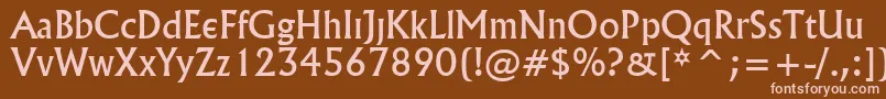 Village Font – Pink Fonts on Brown Background