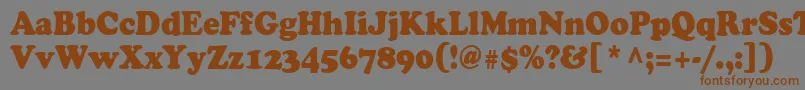 Cooper90n Font – Brown Fonts on Gray Background