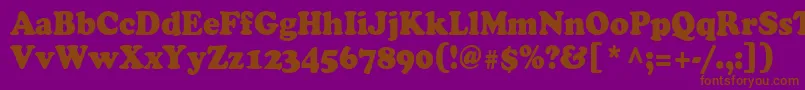 Cooper90n Font – Brown Fonts on Purple Background