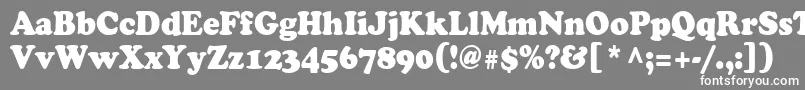 Cooper90n Font – White Fonts on Gray Background