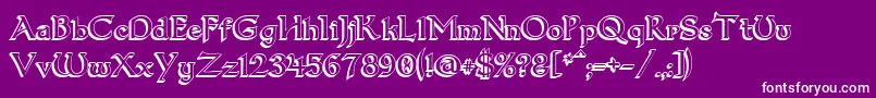 Dum13D Font – White Fonts on Purple Background