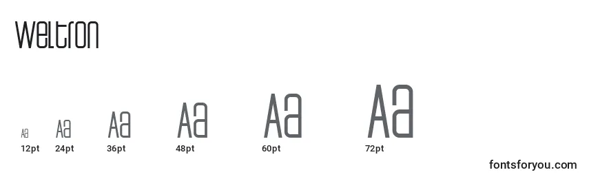 Weltron Font Sizes