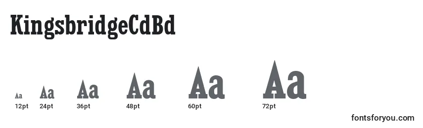 KingsbridgeCdBd Font Sizes