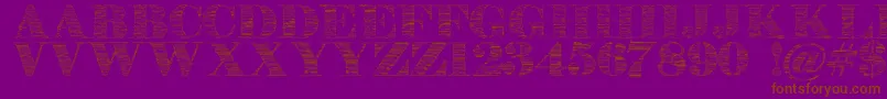 Stonestoryebo Font – Brown Fonts on Purple Background