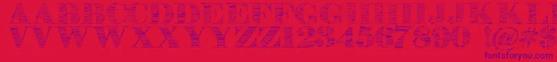 Stonestoryebo-Schriftart – Violette Schriften auf rotem Hintergrund