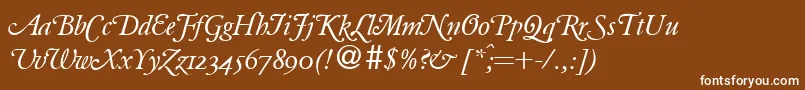 フォントClassicgaramondswashRegularitalicDb – 茶色の背景に白い文字