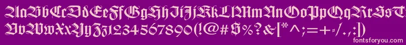 WilhelmklingsporgotischWd Font – Pink Fonts on Purple Background