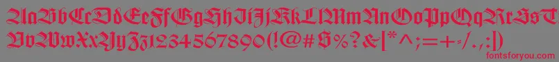 WilhelmklingsporgotischWd Font – Red Fonts on Gray Background