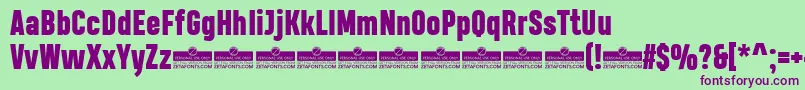 HeadingProHeavyTrial Font – Purple Fonts on Green Background