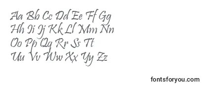 Обзор шрифта Pristina