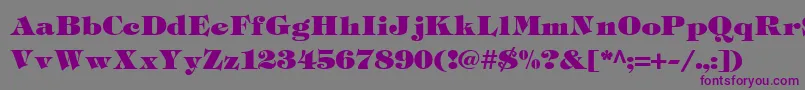 TiffHeavyukraineLight Font – Purple Fonts on Gray Background