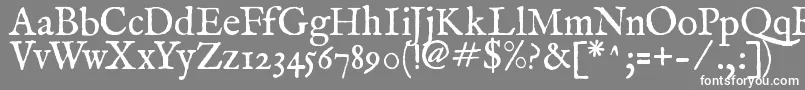 フォントFeenrm2 – 灰色の背景に白い文字