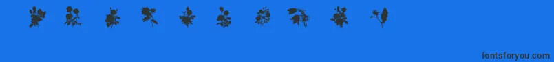 SubiktotwoBeta-Schriftart – Schwarze Schriften auf blauem Hintergrund