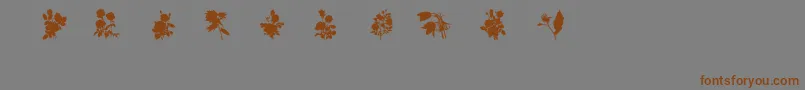 Weitere Informationen zur SubiktotwoBeta-Schriftart SubiktotwoBeta-Schriftart – Braune Schriften auf grauem Hintergrund