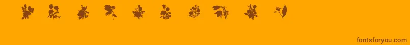 SubiktotwoBeta-fontti – ruskeat fontit oranssilla taustalla