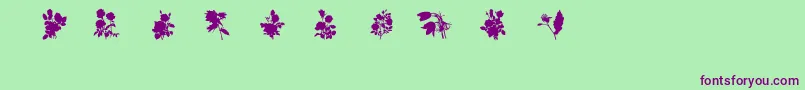 SubiktotwoBeta Font – Purple Fonts on Green Background