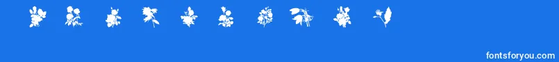 SubiktotwoBeta-Schriftart – Weiße Schriften auf blauem Hintergrund