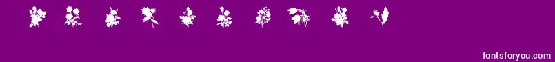 En savoir plus sur la police SubiktotwoBeta Police SubiktotwoBeta – polices blanches sur fond violet