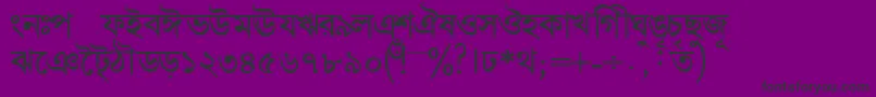 フォントBengalidhakasskBold – 紫の背景に黒い文字