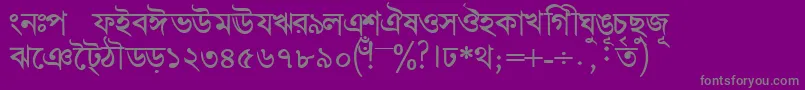 BengalidhakasskBold-Schriftart – Graue Schriften auf violettem Hintergrund