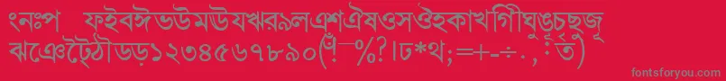 フォントBengalidhakasskBold – 赤い背景に灰色の文字