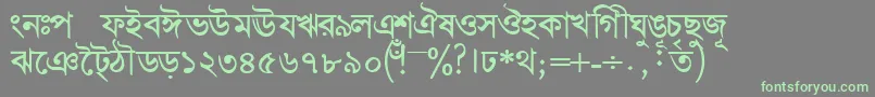 Шрифт BengalidhakasskBold – зелёные шрифты на сером фоне