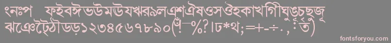 Шрифт BengalidhakasskBold – розовые шрифты на сером фоне