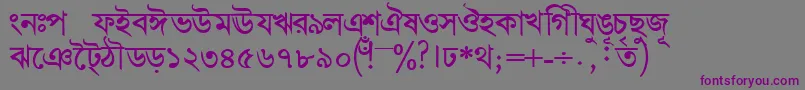 Шрифт BengalidhakasskBold – фиолетовые шрифты на сером фоне