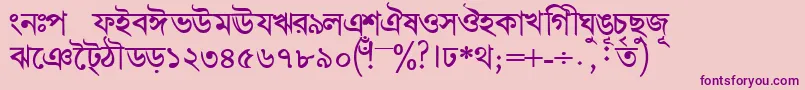 BengalidhakasskBold Font – Purple Fonts on Pink Background