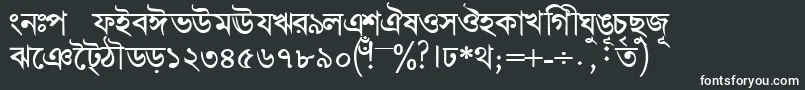 Шрифт BengalidhakasskBold – белые шрифты на чёрном фоне