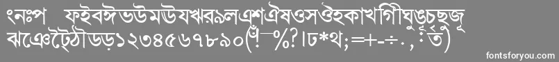 BengalidhakasskBold Font – White Fonts on Gray Background