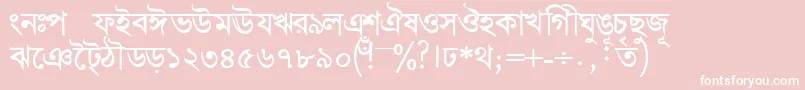 More about BengalidhakasskBold Font BengalidhakasskBold Font – White Fonts on Pink Background
