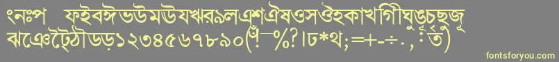 Шрифт BengalidhakasskBold – жёлтые шрифты на сером фоне