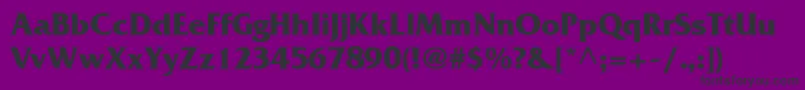 FranceBold Font – Black Fonts on Purple Background
