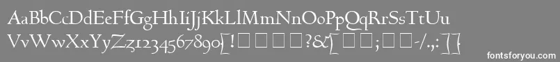 フォントGoudyHundred – 灰色の背景に白い文字