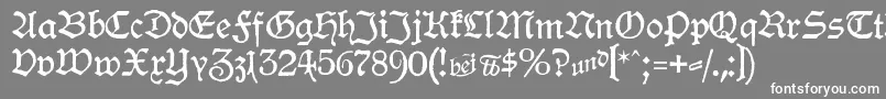 フォントHamburgerSchwabacher – 灰色の背景に白い文字
