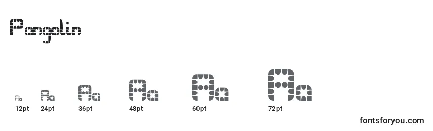 Pangolin Font Sizes
