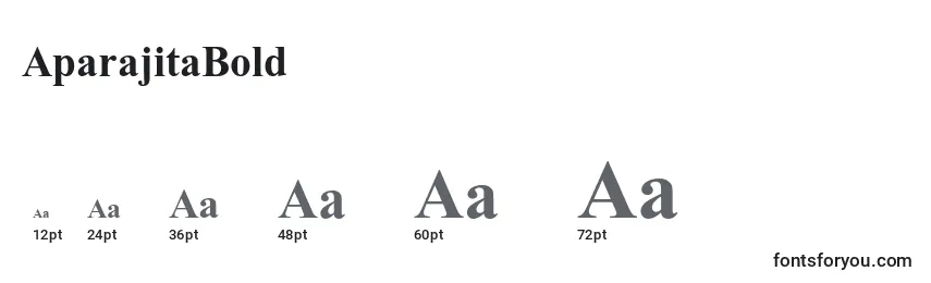 Размеры шрифта AparajitaBold