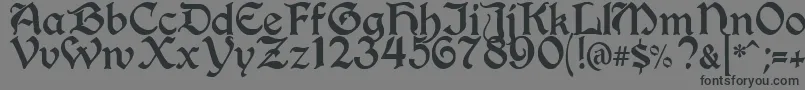 フォントBerryRotunda – 黒い文字の灰色の背景