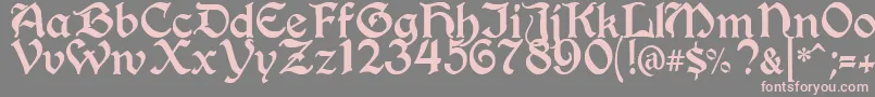 BerryRotunda Font – Pink Fonts on Gray Background