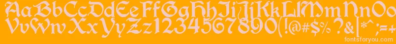 BerryRotunda Font – Pink Fonts on Orange Background