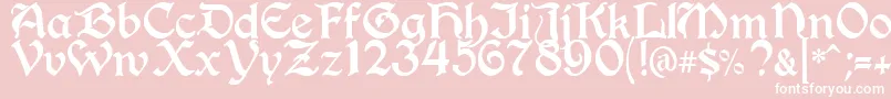 BerryRotunda Font – White Fonts on Pink Background