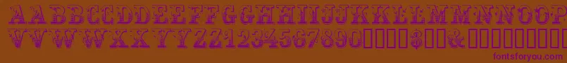 Festivacapsssk Font – Purple Fonts on Brown Background