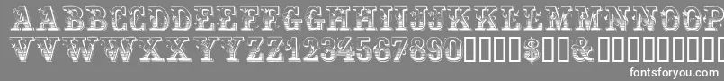 Festivacapsssk Font – White Fonts on Gray Background