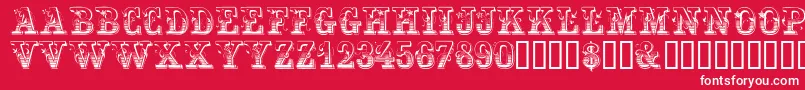 Festivacapsssk Font – White Fonts on Red Background