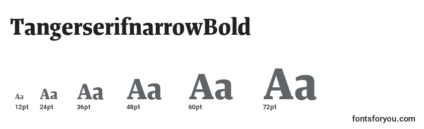 TangerserifnarrowBold Font Sizes